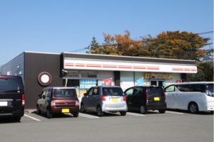 Using Convenience Stores