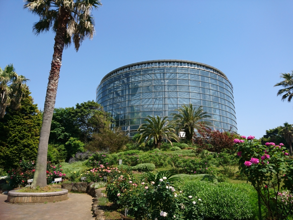 【千葉、稲毛、稲毛海岸】東京や空港とのアクセス情報