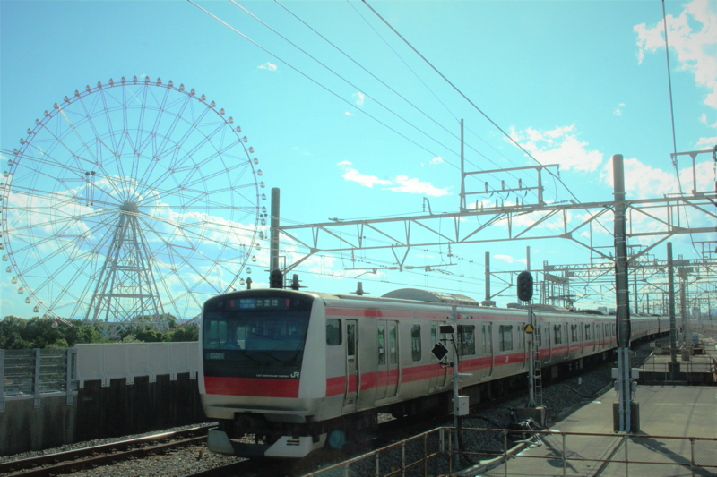 画像京葉線と葛西臨海公園